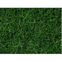 Noch - Wild Grass Dark Green - 6mm - 100g - 07094